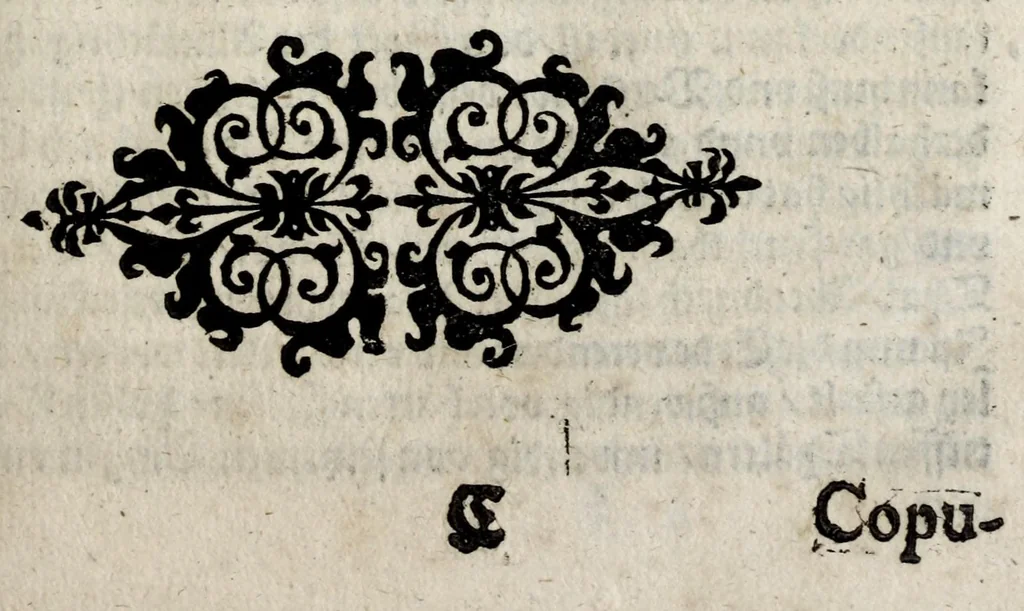 An illustration from Aureum vellus, oder, Guldin Schatz und Kunstkam[m]er : darinnen der aller fürnemisten, fürtreffenlichsten, ausserlesenesten, herrlichisten vnd bewehrteste[n] Auctorum Schrifften vnd Bücher, auss dem gar vralte[n] Schatz vberblibnen verborgnen, hinderhaltenen Reliquien vnd Monumenten der Aegyptiorum, Arabum, Chaldaeorum & Assyriorum Königen vnd Weysen, 1598, leaf 27