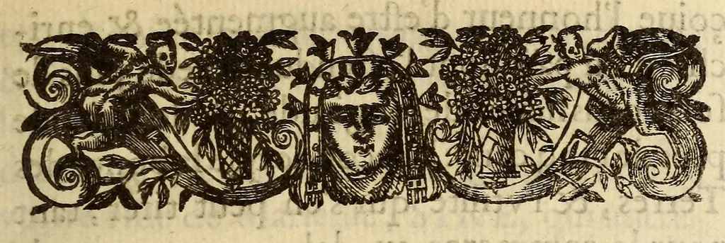 An illustration from Au roy. : Sire, le sieur de Champlain remontre tres-humblement à vostre majesté, que les trauaux par luy soufferts, aux descouuertes de plusieurs terres, lacs & riuieres du pays de vostre nouuelle France, depuis vingt-sept ans ., 1630, leaf 9