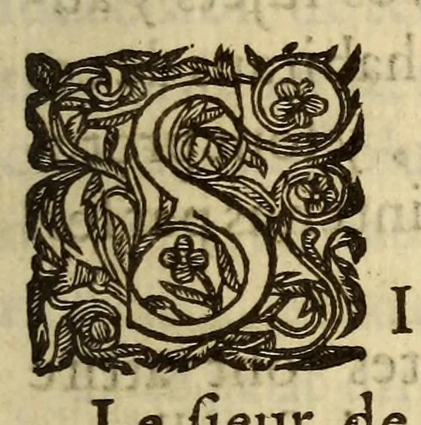 An illustration from Au roy. : Sire, le sieur de Champlain remontre tres-humblement à vostre majesté, que les trauaux par luy soufferts, aux descouuertes de plusieurs terres, lacs & riuieres du pays de vostre nouuelle France, depuis vingt-sept ans ., 1630, leaf 9