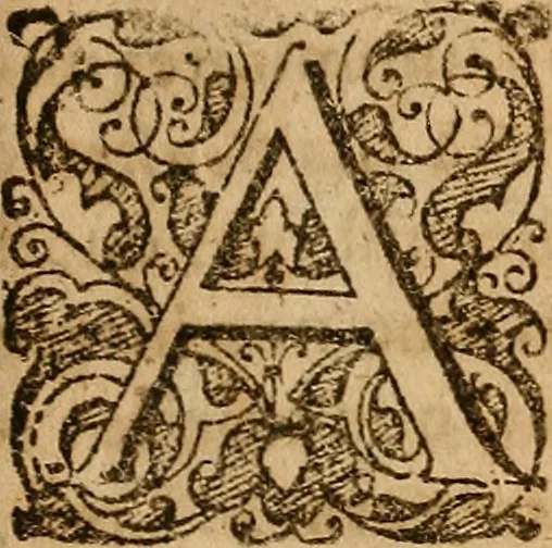 An illustration from Aurum aurae : vi magnetismi universalis attractum, 1674, leaf 14