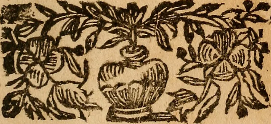An illustration from Aurum aurae : vi magnetismi universalis attractum, 1674, leaf 62