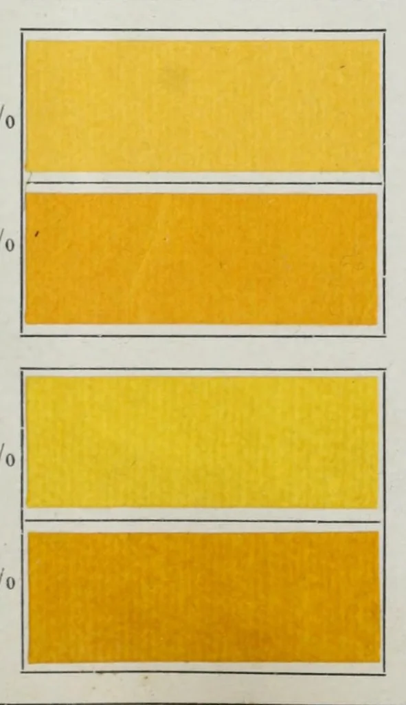 An illustration from Ausfärbungen auf Papier = Teintures sur papier = Dyeings on paper, 1900, leaf 13
