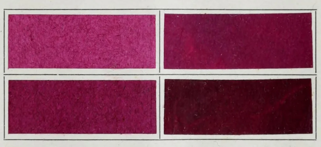 An illustration from Ausfärbungen auf Papier = Teintures sur papier = Dyeings on paper, 1900, leaf 21