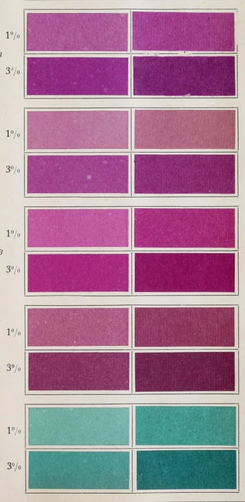 An illustration from Ausfärbungen auf Papier = Teintures sur papier = Dyeings on paper, 1900, leaf 27