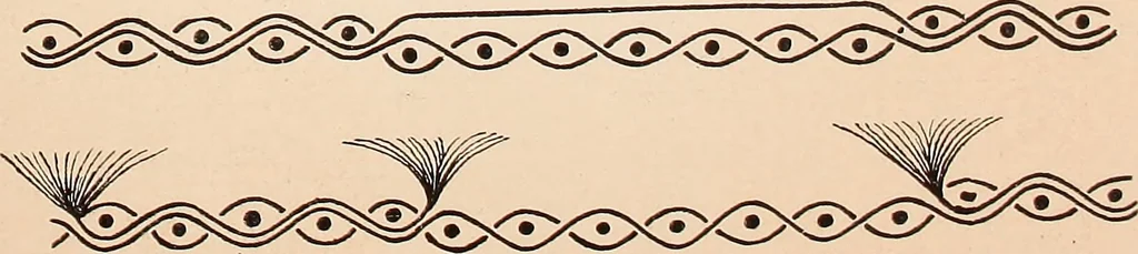 An illustration from Ausführliches Handbuch der Weberei. Ein Lehr- und Hilfsbuch für Fabrikanten, Weber und Webschüler, 1909, leaf 35