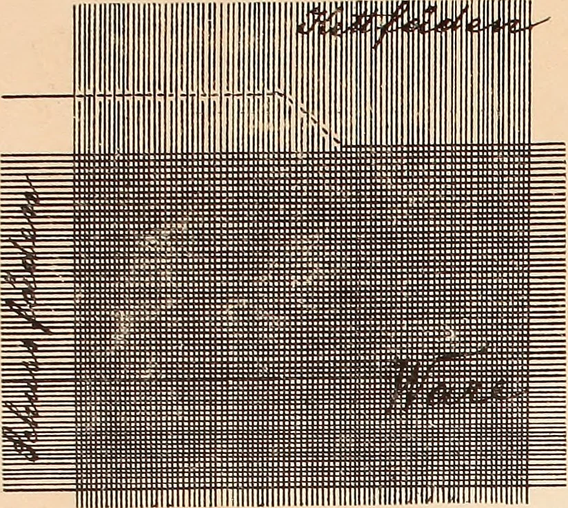 An illustration from Ausführliches Handbuch der Weberei. Ein Lehr- und Hilfsbuch für Fabrikanten, Weber und Webschüler, 1909, leaf 40