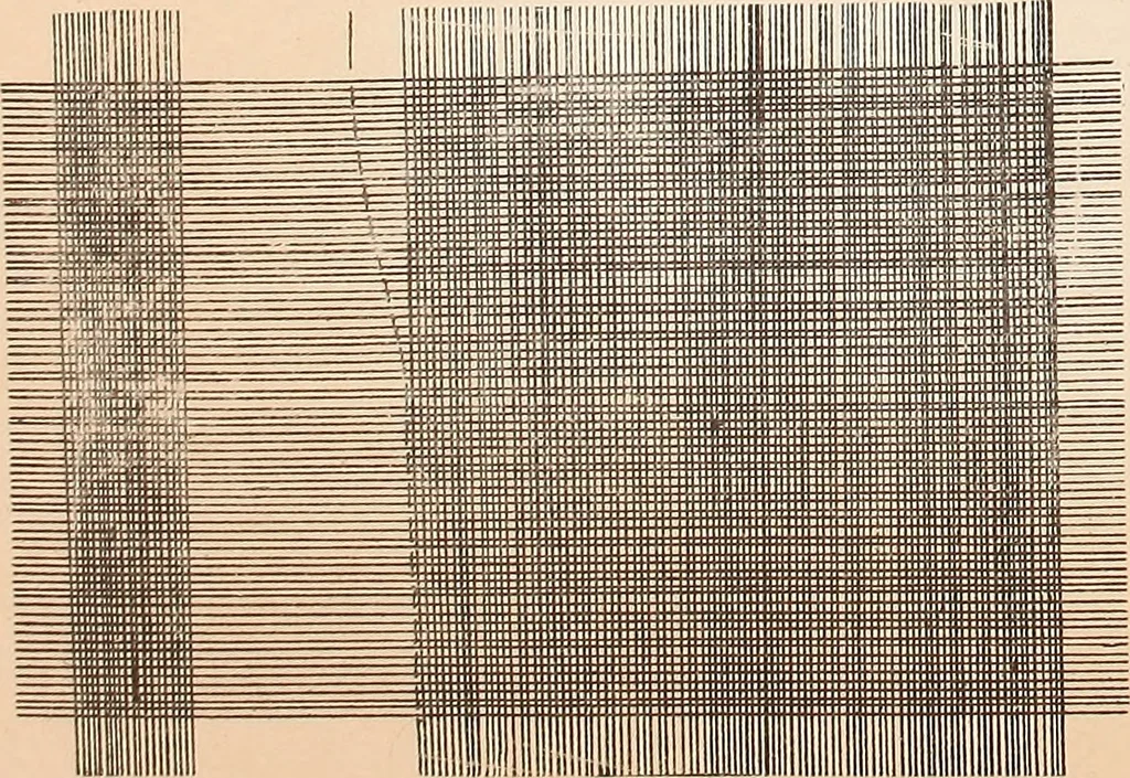 An illustration from Ausführliches Handbuch der Weberei. Ein Lehr- und Hilfsbuch für Fabrikanten, Weber und Webschüler, 1909, leaf 40