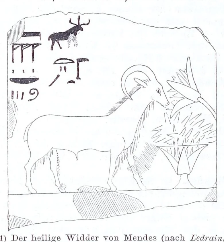An illustration from Ausführliches Lexikon der griechischen und römischen Mythologie, 1884, leaf 506