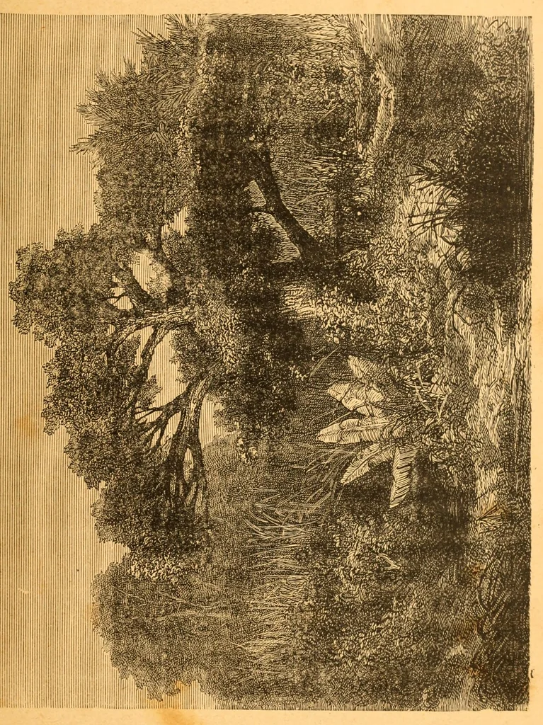 An illustration from Au Soudan : excursion dans l'Ouest africain, 1898, leaf 201