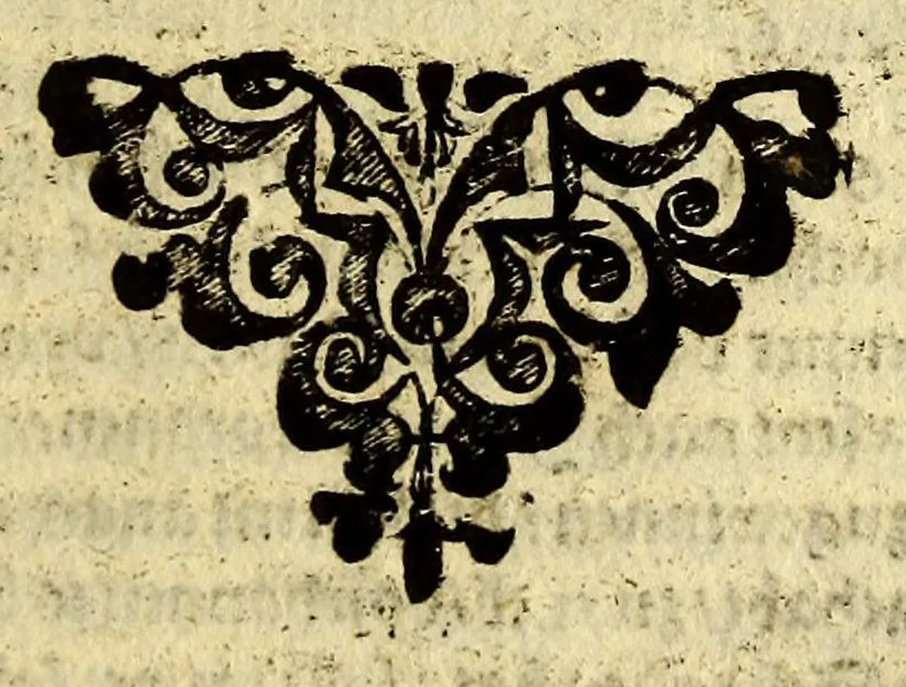An illustration from Auss America, das ist, auss der Newen Welt. : Vnderschidlicher Schreiben Extract, von den Jaren 1616. 1617. 1618. Was Gestalt acht Patres Societatis vnd zwo andere Ordenspersonen, von dess christlichen Glaubens wegen ihr Blut vergossen. Was auch sonst die Patres Societatis Gott zu Ehren, vnnd zu Aussbreittung seines heiligsten Namens, auff sich genommen., 1620, leaf 41