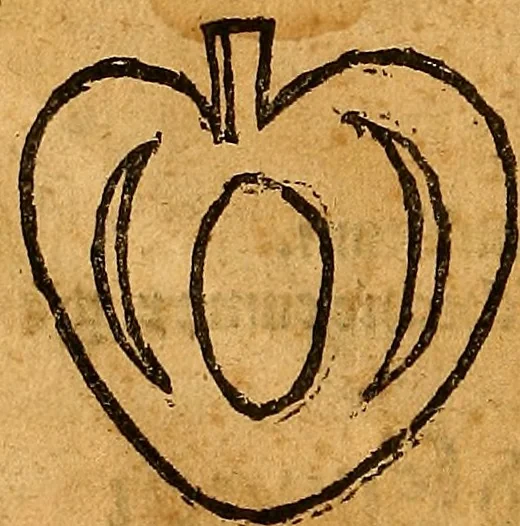 An illustration from Ausslegung und Beschreibung der Anathomy, oder, Warhafften Abconterfetung eines inwendigen Cörpers des Manns und Weibs : mit Erklerung seiner innerlichen Gelider, wie uñ wohin ein yedes von Gott erschaffen uñ geordnet : das menschlich Leben zu auffenthalte : dem gemeynen Menschen zu einem kurtzen vnd verstentlichen Bericht, 1544, leaf 11
