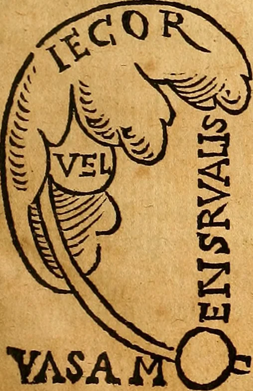 An illustration from Ausslegung und Beschreibung der Anathomy, oder, Warhafften Abconterfetung eines inwendigen Cörpers des Manns und Weibs : mit Erklerung seiner innerlichen Gelider, wie uñ wohin ein yedes von Gott erschaffen uñ geordnet : das menschlich Leben zu auffenthalte : dem gemeynen Menschen zu einem kurtzen vnd verstentlichen Bericht, 1544, leaf 16