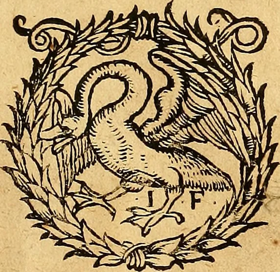 An illustration from Ausslegung und Beschreibung der Anathomy, oder, Warhafften Abconterfetung eines inwendigen Cörpers des Manns und Weibs : mit Erklerung seiner innerlichen Gelider, wie uñ wohin ein yedes von Gott erschaffen uñ geordnet : das menschlich Leben zu auffenthalte : dem gemeynen Menschen zu einem kurtzen vnd verstentlichen Bericht, 1544, leaf 30