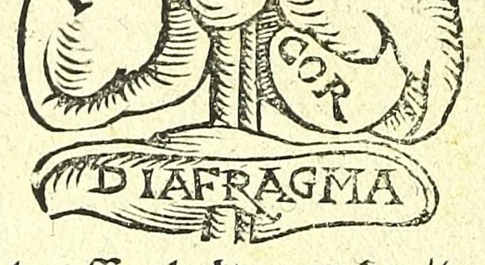 An illustration from Ausslegung und Beschreybung der Anatomi,, 1539, leaf 10
