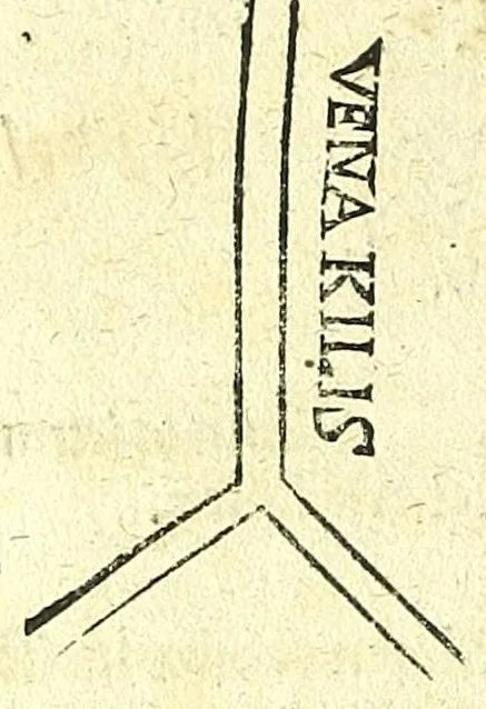 An illustration from Ausslegung und Beschreybung der Anatomi,, 1539, leaf 24