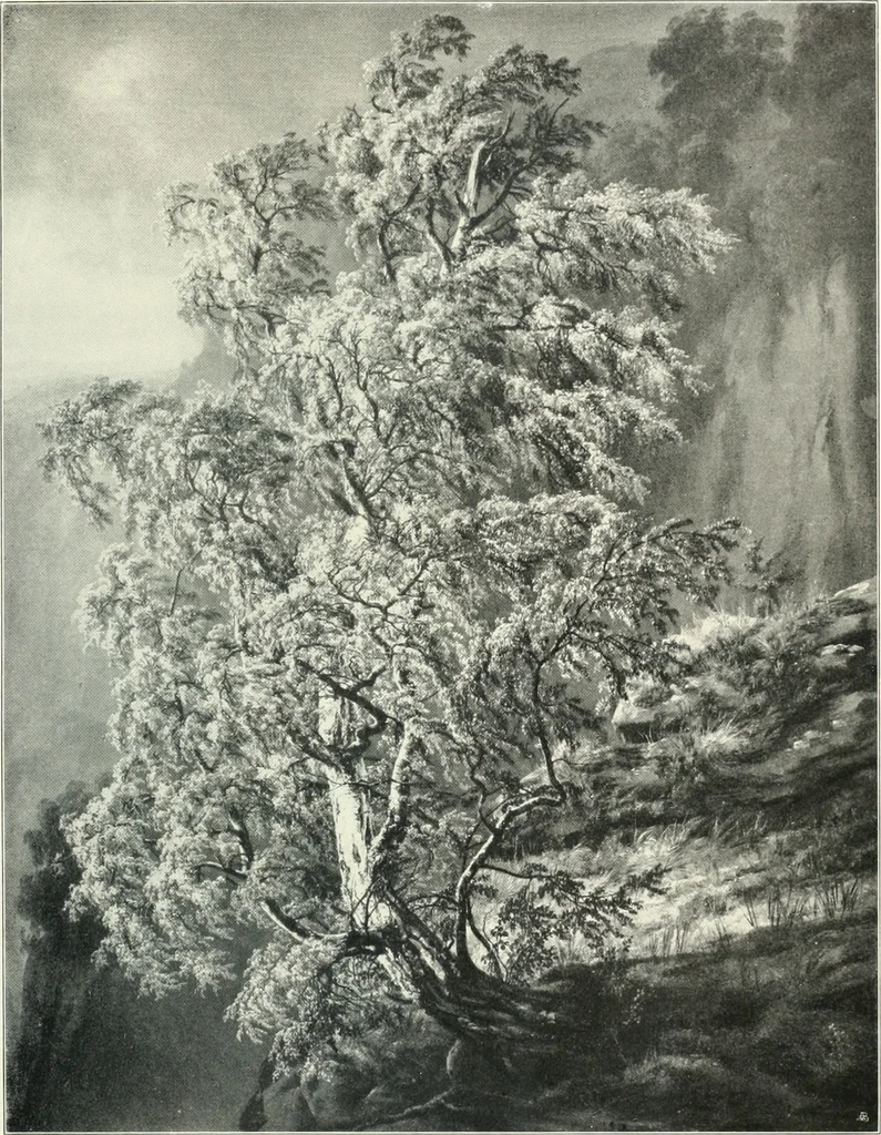 An illustration from Ausstellung deutscher Kunst aus der Zeit von 1775-1875 in der Königlichen Nationalgalerie, Berlin 1906. Herausgegeben vom Vorstand der Deutschen Jahrhundertausstellung. Mit einleitendem Text von Hugo von Tschudi, 1906, leaf 244