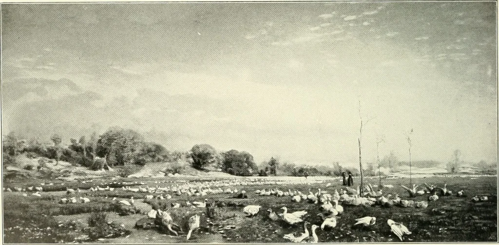 An illustration from Ausstellung deutscher Kunst aus der Zeit von 1775-1875 in der Königlichen Nationalgalerie, Berlin 1906. Herausgegeben vom Vorstand der Deutschen Jahrhundertausstellung. Mit einleitendem Text von Hugo von Tschudi, 1906, leaf 293