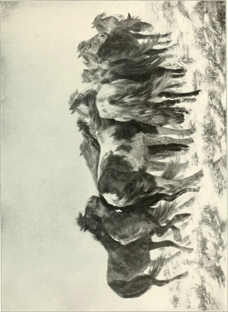 An illustration from Ausstellung deutscher Kunst aus der Zeit von 1775-1875 in der Königlichen Nationalgalerie, Berlin 1906. Herausgegeben vom Vorstand der Deutschen Jahrhundertausstellung. Mit einleitendem Text von Hugo von Tschudi, 1906, leaf 298
