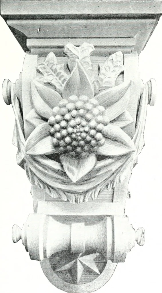 An illustration from The Australian flora in applied art, 1915, leaf 38