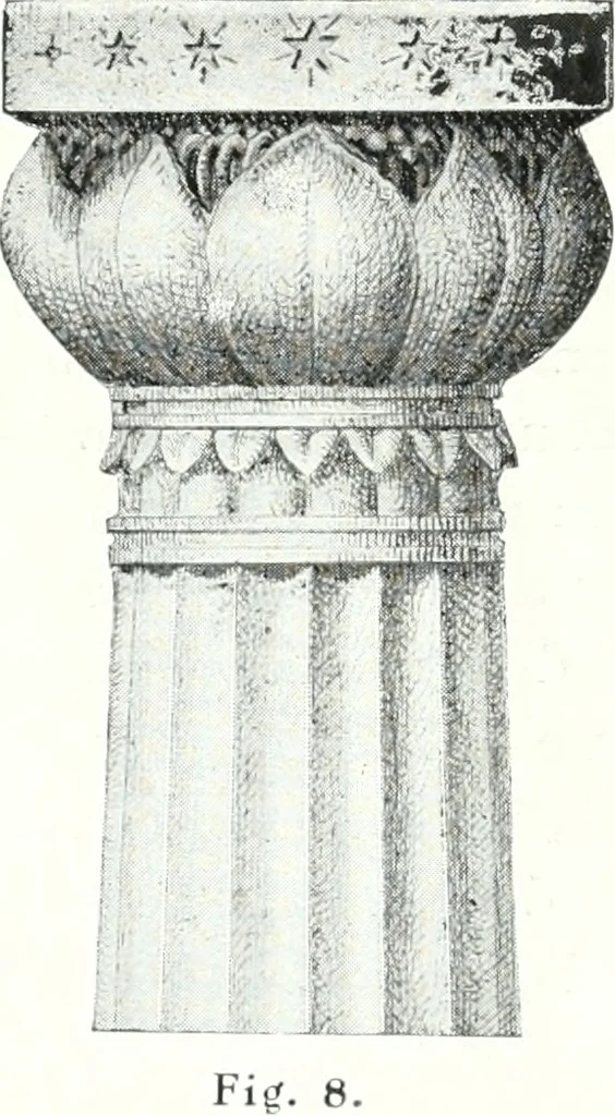 An illustration from The Australian flora in applied art, 1915, leaf 39