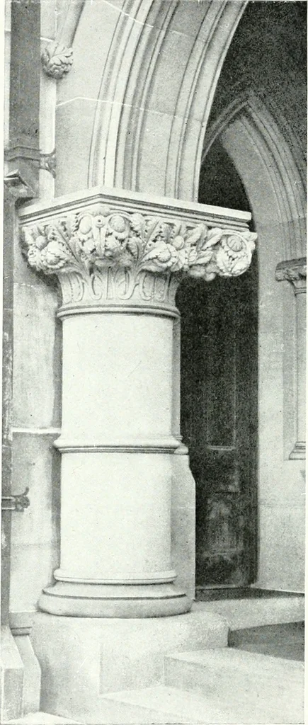 An illustration from The Australian flora in applied art, 1915, leaf 39