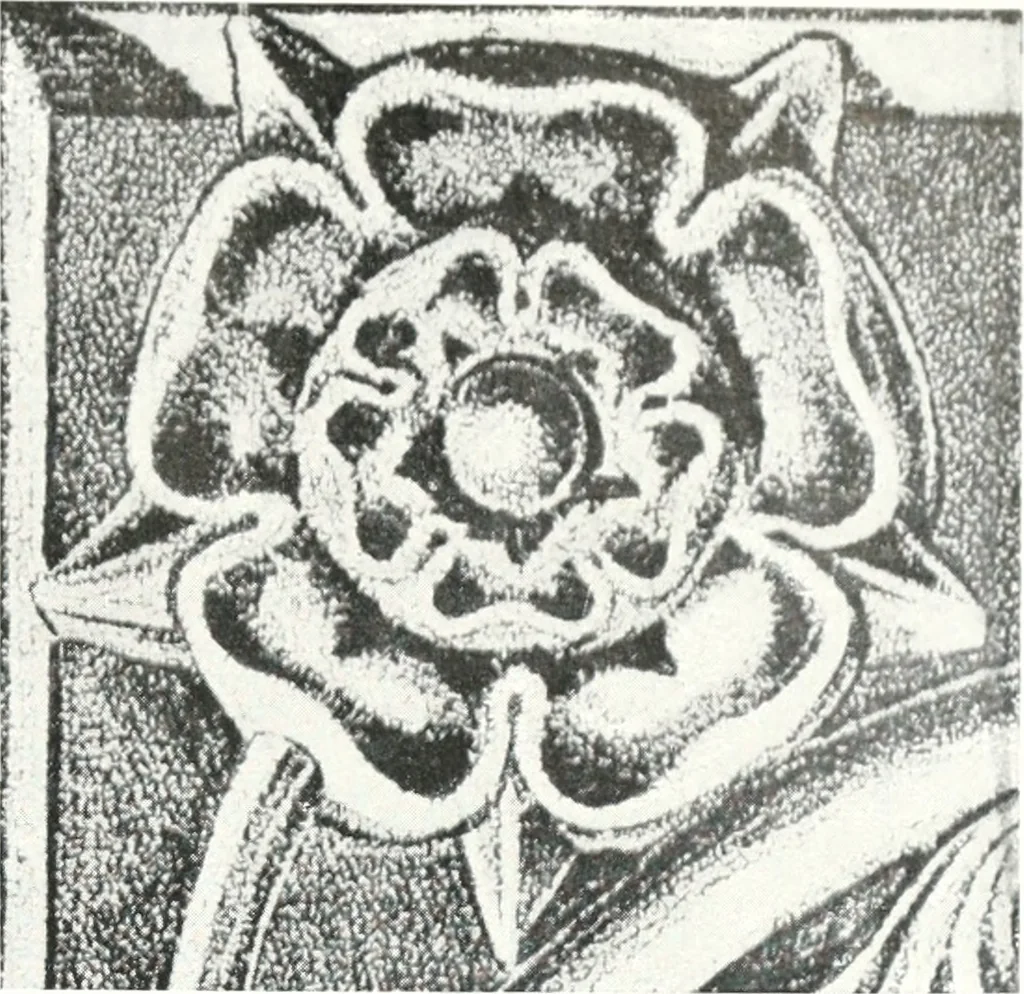An illustration from The Australian flora in applied art, 1915, leaf 48