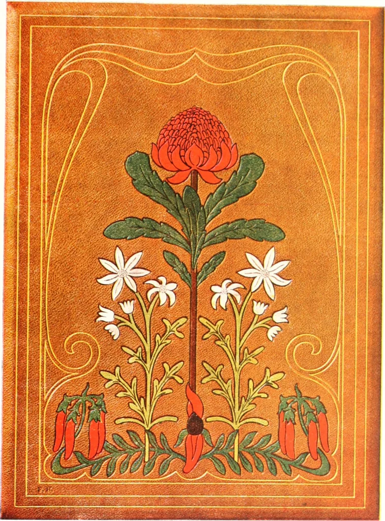 An illustration from The Australian flora in applied art, 1915, leaf 50