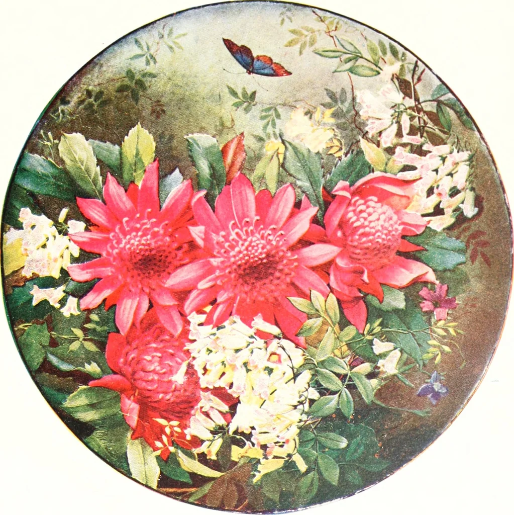 An illustration from The Australian flora in applied art, 1915, leaf 54
