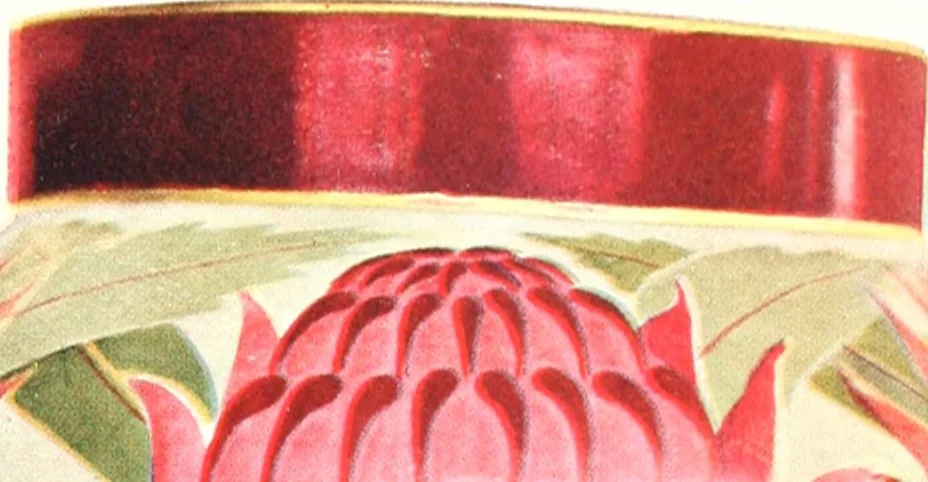 An illustration from The Australian flora in applied art, 1915, leaf 58
