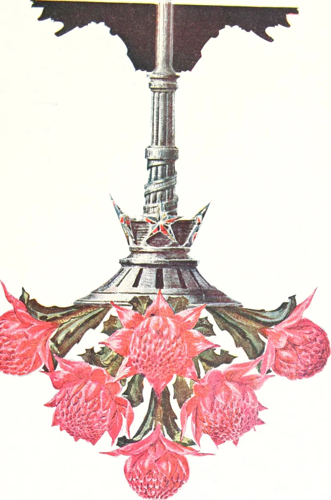 An illustration from The Australian flora in applied art, 1915, leaf 66