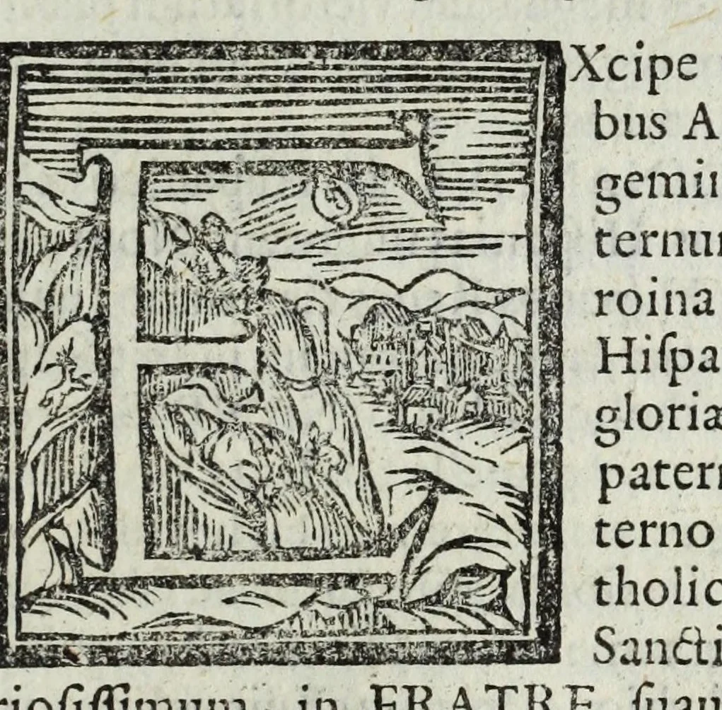 An illustration from Austriaci Caesares Mariae Annae, magni caes[ar]is Ferd[inan]di III filiae, maximi regum Phil[i]pi IV sponsae, potentiss[im]ae Hispanae mon[ar]chiae regin[a]e, in dotale auspicium infantis monarchae totiusq[ue] sereniss[im]ae posteritatis exhibiti, 1649, leaf 135