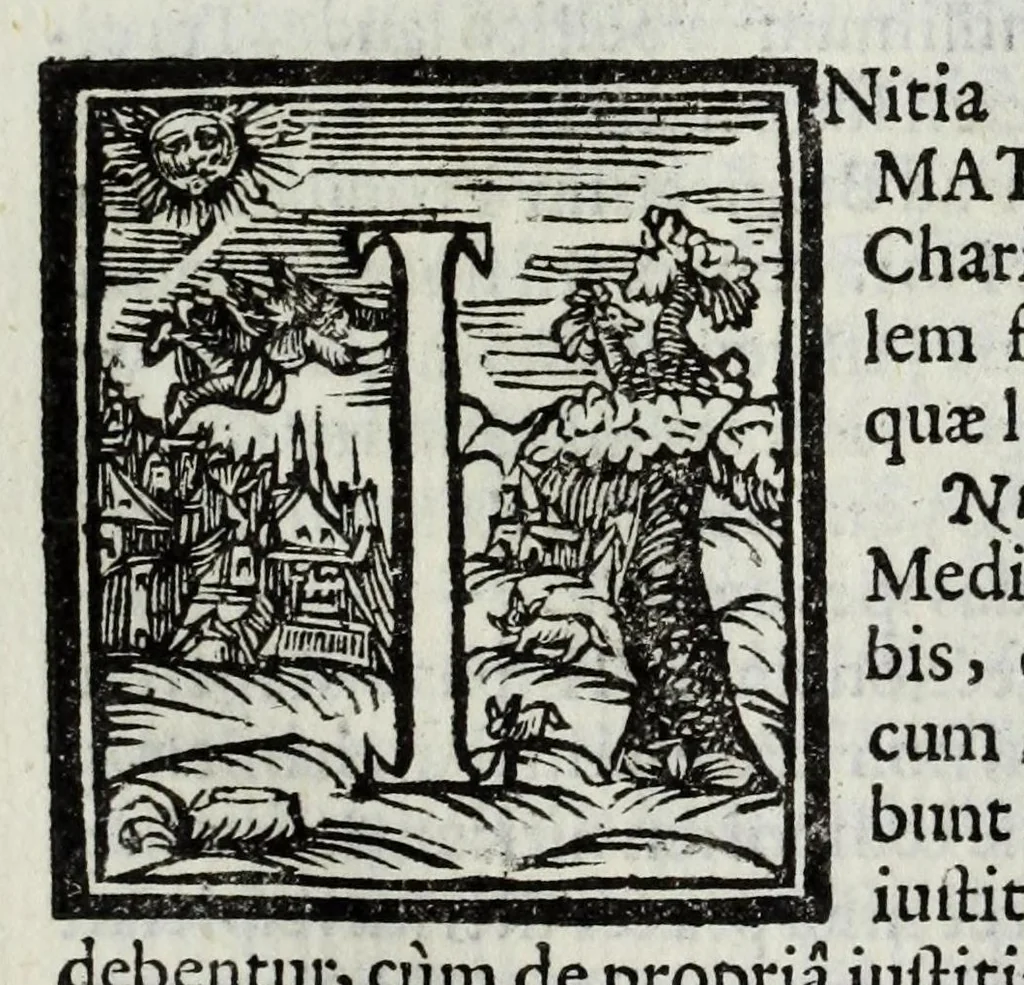 An illustration from Austriaci Caesares Mariae Annae, magni caes[ar]is Ferd[inan]di III filiae, maximi regum Phil[i]pi IV sponsae, potentiss[im]ae Hispanae mon[ar]chiae regin[a]e, in dotale auspicium infantis monarchae totiusq[ue] sereniss[im]ae posteritatis exhibiti, 1649, leaf 165