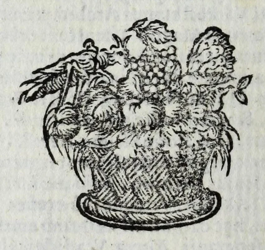 An illustration from Austriaci Caesares Mariae Annae, magni caes[ar]is Ferd[inan]di III filiae, maximi regum Phil[i]pi IV sponsae, potentiss[im]ae Hispanae mon[ar]chiae regin[a]e, in dotale auspicium infantis monarchae totiusq[ue] sereniss[im]ae posteritatis exhibiti, 1649, leaf 174
