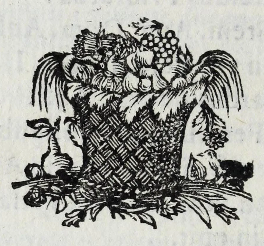 An illustration from Austriaci Caesares Mariae Annae, magni caes[ar]is Ferd[inan]di III filiae, maximi regum Phil[i]pi IV sponsae, potentiss[im]ae Hispanae mon[ar]chiae regin[a]e, in dotale auspicium infantis monarchae totiusq[ue] sereniss[im]ae posteritatis exhibiti, 1649, leaf 22