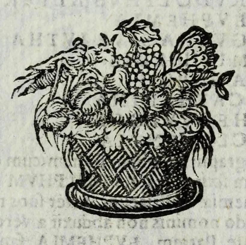 An illustration from Austriaci Caesares Mariae Annae, magni caes[ar]is Ferd[inan]di III filiae, maximi regum Phil[i]pi IV sponsae, potentiss[im]ae Hispanae mon[ar]chiae regin[a]e, in dotale auspicium infantis monarchae totiusq[ue] sereniss[im]ae posteritatis exhibiti, 1649, leaf 59