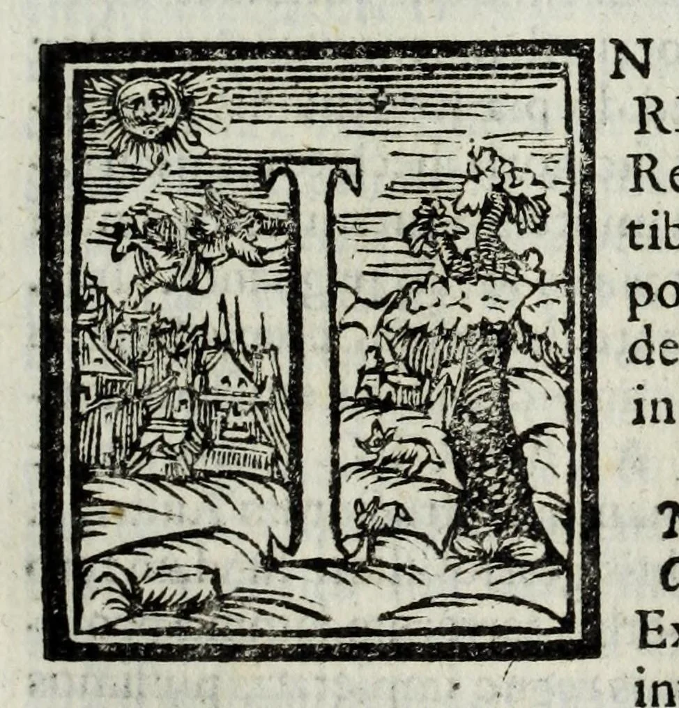 An illustration from Austriaci Caesares Mariae Annae, magni caes[ar]is Ferd[inan]di III filiae, maximi regum Phil[i]pi IV sponsae, potentiss[im]ae Hispanae mon[ar]chiae regin[a]e, in dotale auspicium infantis monarchae totiusq[ue] sereniss[im]ae posteritatis exhibiti, 1649, leaf 63