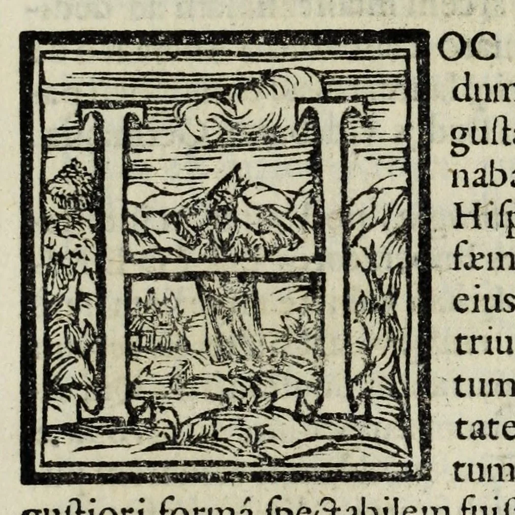 An illustration from Austriaci Caesares Mariae Annae, magni caes[ar]is Ferd[inan]di III filiae, maximi regum Phil[i]pi IV sponsae, potentiss[im]ae Hispanae mon[ar]chiae regin[a]e, in dotale auspicium infantis monarchae totiusq[ue] sereniss[im]ae posteritatis exhibiti, 1649, leaf 75
