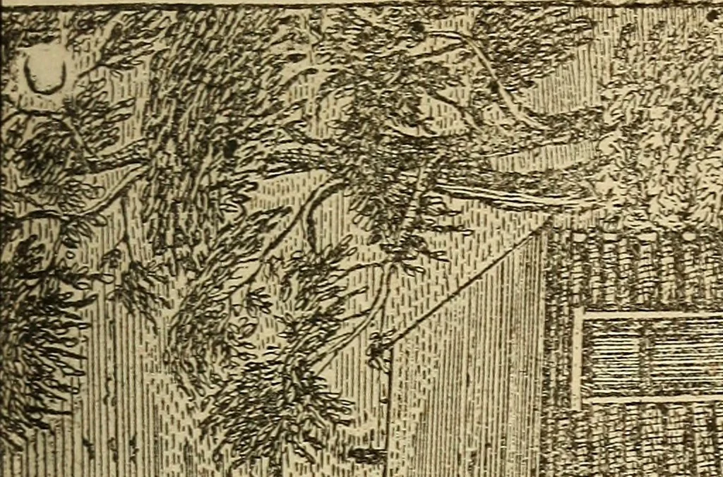 An illustration from Auswanderung der sächsischen lutheraner im jahre 1838, 1866, leaf 102