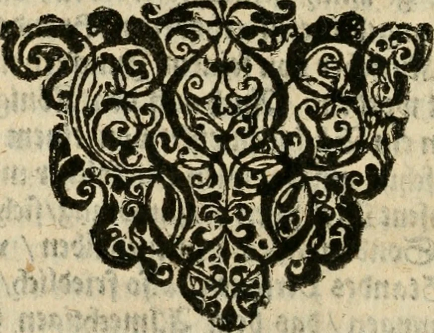 An illustration from Auszfürliche vnd warhaffte Beschreibung des durchlauchtigsten, grosmechtigen vnd hochgebornen Fürsten vnd Herrn : Herrn Christians des Vierden dieses Namens, zu Dennemarck, Norwegen, der Wenden vnd Gotten Königes, Hertzogen zu Schleszwig, Holstein, Stormarn vnd der Dittmarschen, Grafen zu Oldenburg vnd Delmenhorst, zu Koppenhagen den 29. Augusti anno 1596. glücklich geschehenen Königlichen Krönung ..., 1597, leaf 189
