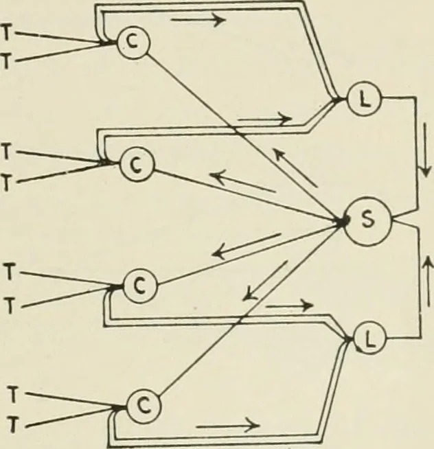 An illustration from Automatic telephony; a comprehensive treatise on automatic and semi-automatic systems, 1921, leaf 28