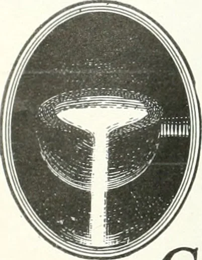 An illustration from Automotive industries, 1899, leaf 1367