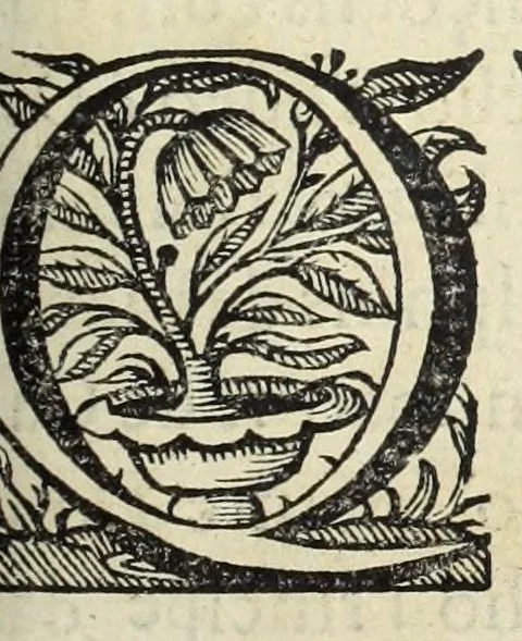 An illustration from Autos do leuantamento, e iuramento : que por os grandes, titulos seculares, e ecclesiasticos, & pessoas que se acharão presentes, se fez a el rey dom Ioam o IV. nossa senhor, na coroa & senhorio destes reynos, & do que elle fez ás mesmas pessoas na cidade de Lisboa, em os quinze dias do mes de dezembro do anno de 1640 .., 1641, leaf 425