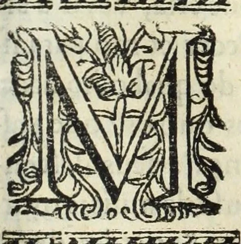 An illustration from Autos do leuantamento, e iuramento : que por os grandes, titulos seculares, e ecclesiasticos, & pessoas que se acharão presentes, se fez a el rey dom Ioam o IV. nossa senhor, na coroa & senhorio destes reynos, & do que elle fez ás mesmas pessoas na cidade de Lisboa, em os quinze dias do mes de dezembro do anno de 1640 .., 1641, leaf 491