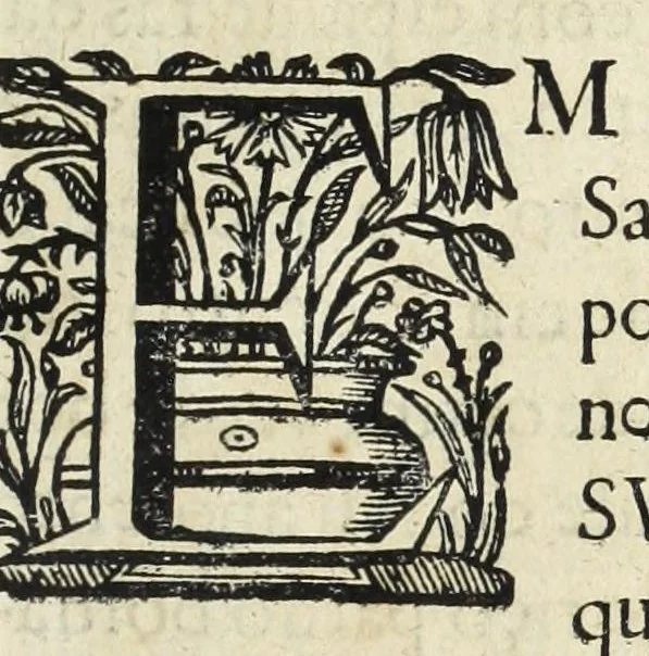 An illustration from Autos do leuantamento, e iuramento : que por os grandes, titulos seculares, e ecclesiasticos, & pessoas que se acharão presentes, se fez a el rey dom Ioam o IV. nossa senhor, na coroa & senhorio destes reynos, & do que elle fez ás mesmas pessoas na cidade de Lisboa, em os quinze dias do mes de dezembro do anno de 1640 .., 1641, leaf 749