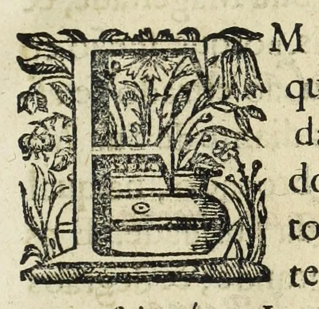 An illustration from Autos do leuantamento, e iuramento : que por os grandes, titulos seculares, e ecclesiasticos, & pessoas que se acharão presentes, se fez a el rey dom Ioam o IV. nossa senhor, na coroa & senhorio destes reynos, & do que elle fez ás mesmas pessoas na cidade de Lisboa, em os quinze dias do mes de dezembro do anno de 1640 .., 1641, leaf 793