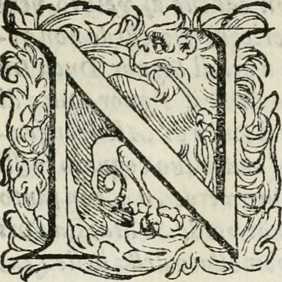 An illustration from Auuisi particolari della felice, et gloriosa incoronatione di Henrico III. Re di Francia, & IIII. di Polonia : fatta nella città di Reins, & del maritaggio di Sua Maestà Christianissmia, con la figliuola del marchese di Vaidament di casa di Lorena, 1575, leaf 8