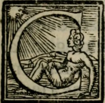 An illustration from Avertimenti et essamini intorno a quelle cose che richiede a vn bombardiero : cosi circa all'artegliaria, come anco a fuochi arteficiati, 1567, leaf 12