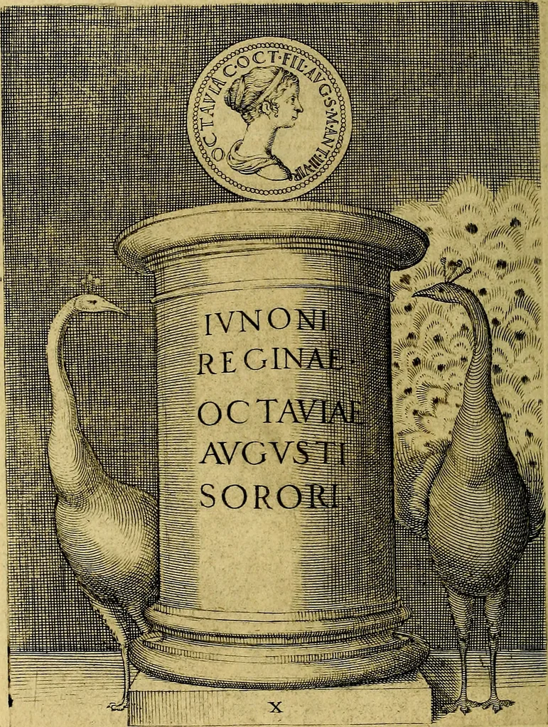 An illustration from Avgvstarvm imagines aereis formis expressae : vitae quoque carundem breuiter enarratae, signorum etiam, quae in posteriori parte numismatũ efficta sũt, ratio explicata, 1558, leaf 45