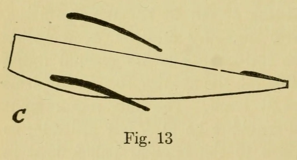 An illustration from Aviation, theorico-pracitcal text-book for students, 1919, leaf 40