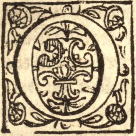 An illustration from A vision of vnchangeable free mercy, in sending the means of grace to undeserved sinners ... In a sermon preached before the Honourable House of Commons, April 29. being the day of publike humiliation. Whereunto is annexed, A short defensative about church-government ... toleration and petitions about these things, 1646, leaf 68